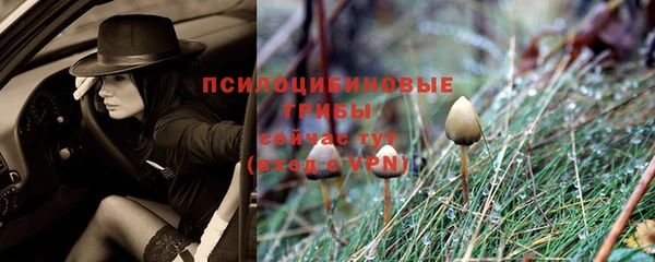 твердый Абдулино
