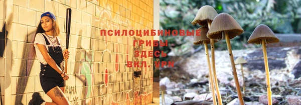 не бодяженный Абаза