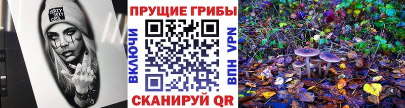 Галлюциногенные грибы Psilocybine cubensis  как найти   Агидель 